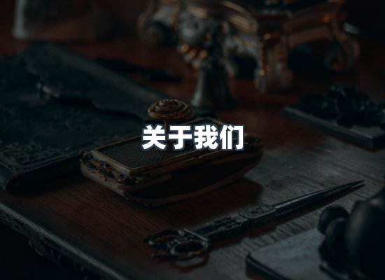 关于我们